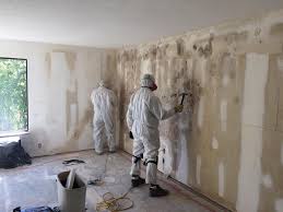 Best Mold Odor Removal Services  in Wilder, VT